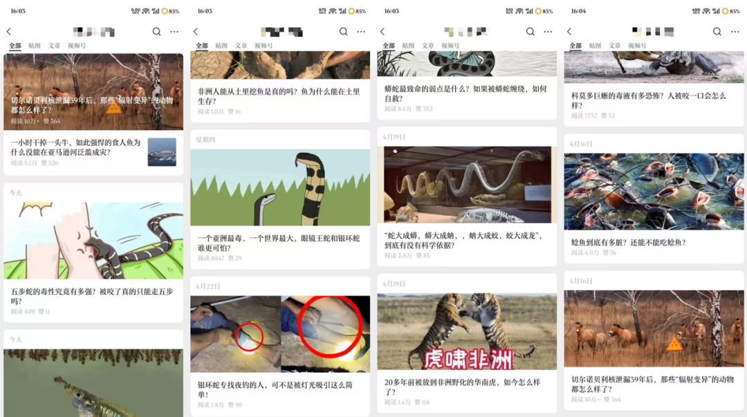 公众号流量主之动物科普赛道，起号快+流量稳，新手简单易上手，日均收益500+